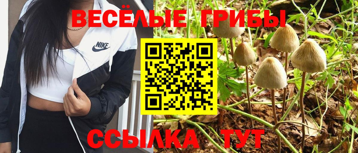 где продают наркотики  Вход с VPN  Сочи  Псилоцибиновые грибы Psilocybine cubensis 